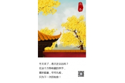 今日冬至